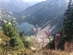 Maple Heather Trail, WA